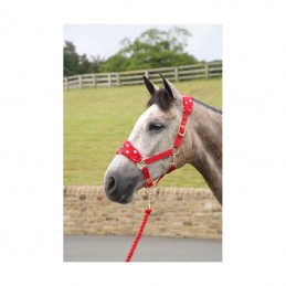 Headcollar Set, Rosette...