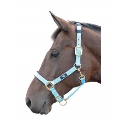 Headcollar, Deluxe, Bright...