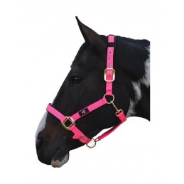 Headcollar, Deluxe, Hot...