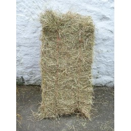 Hay - Full Bale