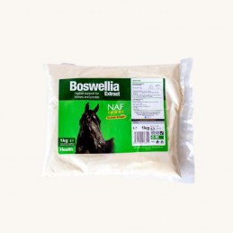 NAF Boswellia Extract, 1kg