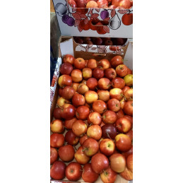 Apples Box