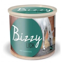 Bizzy Bites Refill - Mint