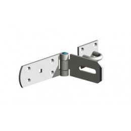 Bolt - Heavy Hasp & Staple