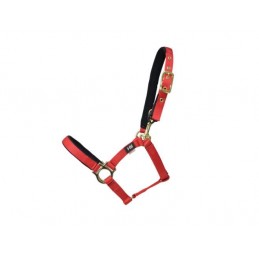 Headcollar, Hy Fieldsafe,...