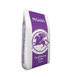 Pegasus Conditioning Cubes,...
