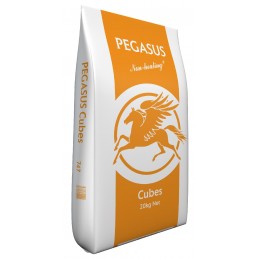 Pegasus Cubes, 20kg