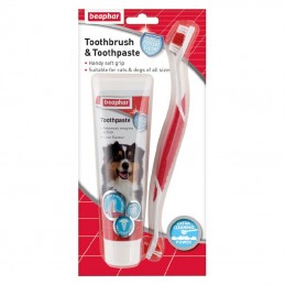 Dental Kit 100g, Beaphar