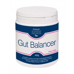 Protexin Gut Balancer, 400g