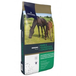 D&H Mare & Youngstock...