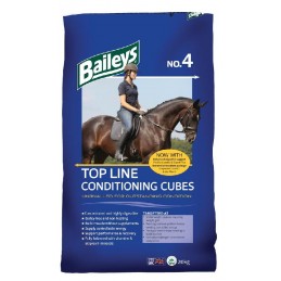 Baileys No.04 Top Line...