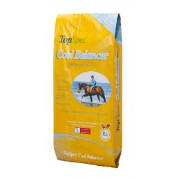 TopSpec Cool Balancer, 15kg