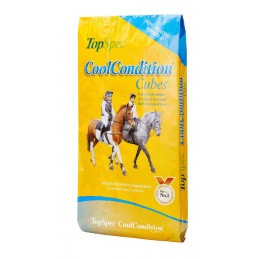 TopSpec CoolCondition...