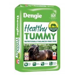 Dengie Healthy Tummy, 15kg