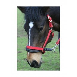 Headcollar, Esyloader