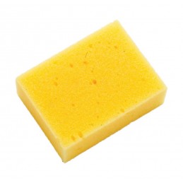 Sponge