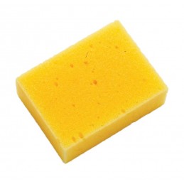 Sponge - Large